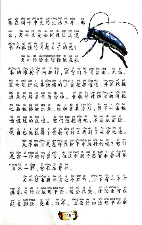 龙族五在线阅读 | 路明非终局之战，热血终章
