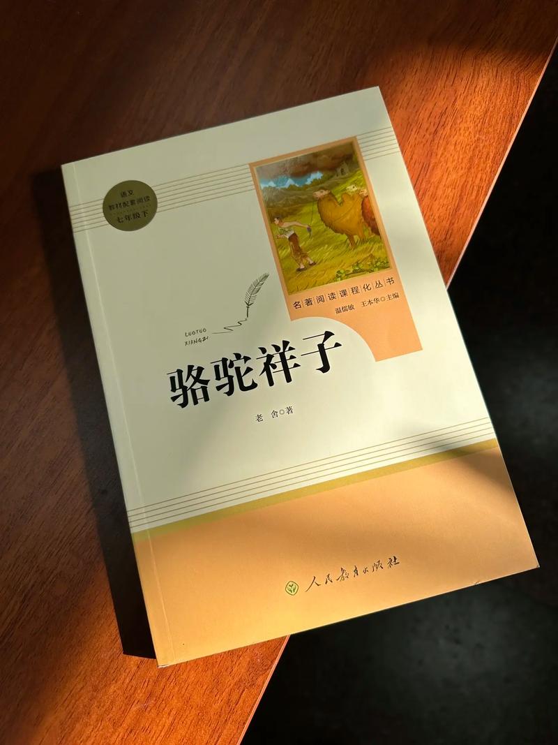 一问一世界在线阅读 | 杨澜对话录完整版