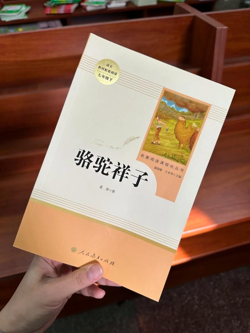 嫌疑人X的献身全文在线阅读|东野圭吾悬疑推理经典