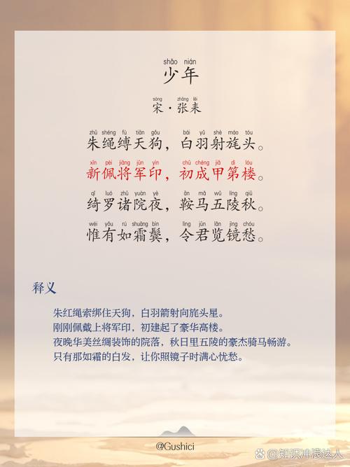 少年在线阅读全文免费阅读最新章节无广告弹窗
