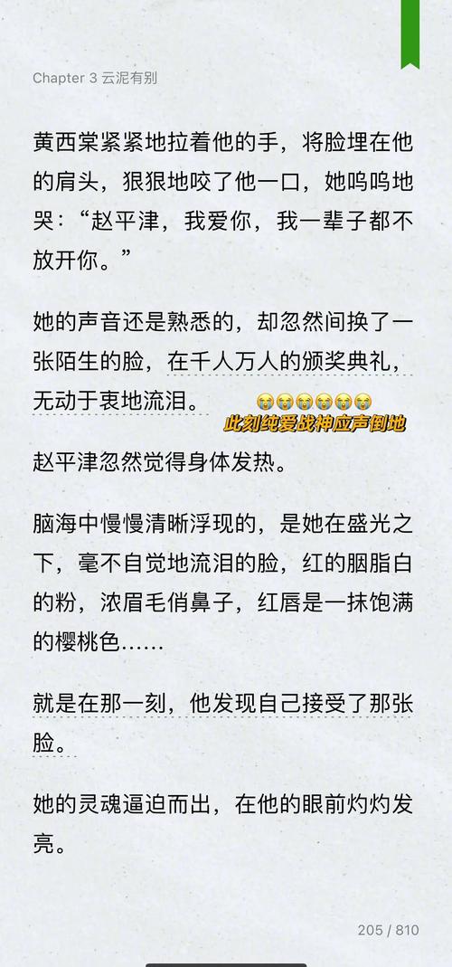 京洛再无佳人2全文免费在线阅读_小说最新章节