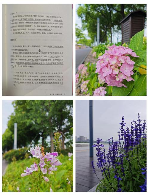 番茄小说免费在线阅读 - 海量热门小说免费看