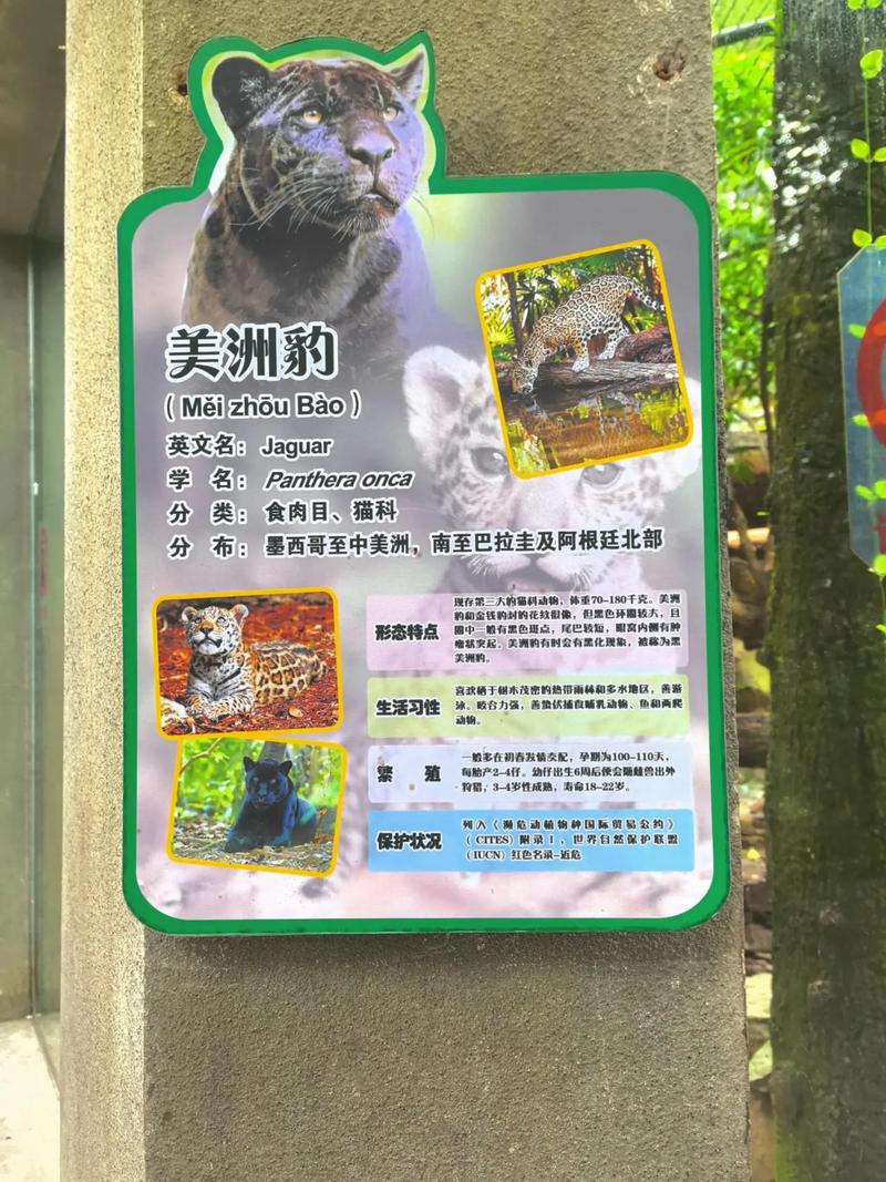 动物凶猛全文在线阅读-经典小说无删节版