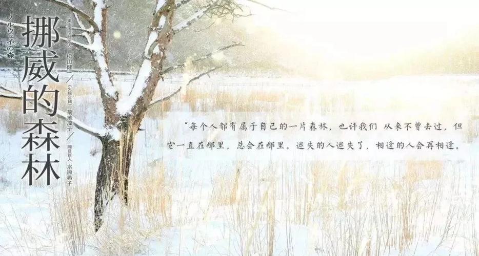 阴生子全文免费在线阅读_完整版无弹窗