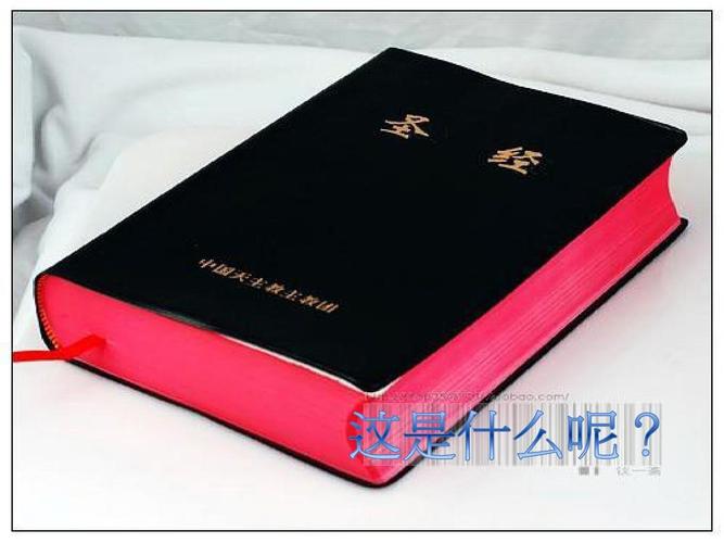 圣经在线有声阅读 | 聆听神的话语，随时随地灵修