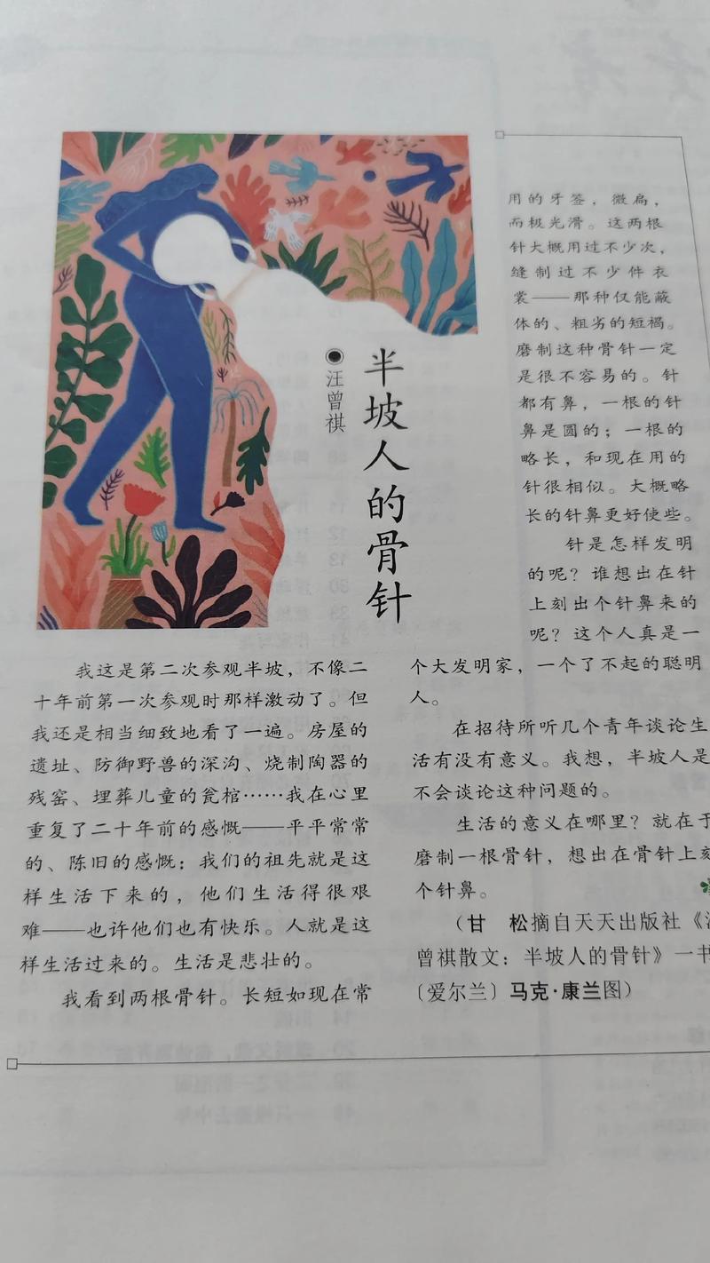 少妇白洁完结txt在线阅读