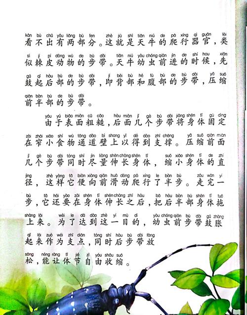 《鹿鼎记》全文免费在线阅读|金庸武侠经典小说