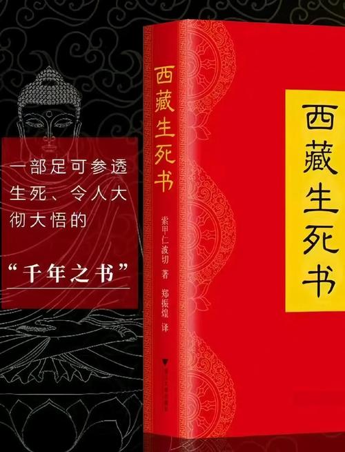 特战先驱全文免费在线阅读 | 特战先驱小说