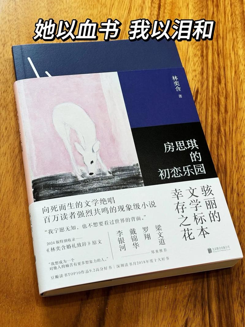 番茄小说免费在线阅读大全,海量热门小说任你选!
