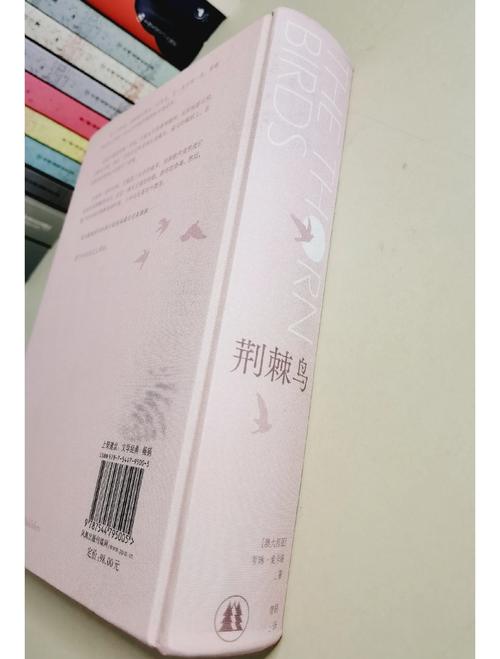 荆棘鸟在线阅读｜经典世界名著小说全文免费阅读