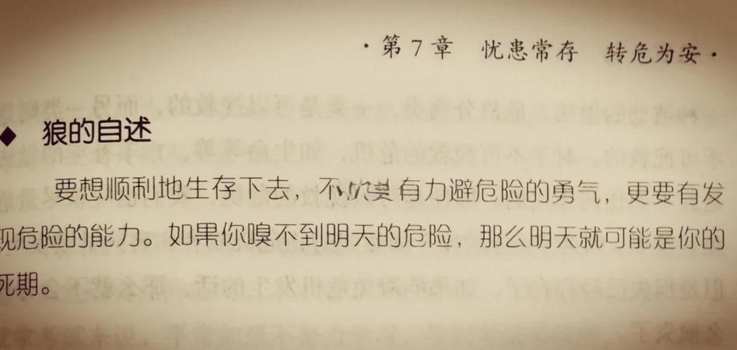 狼道在线阅读：揭秘狼性生存法则与团队管理智慧