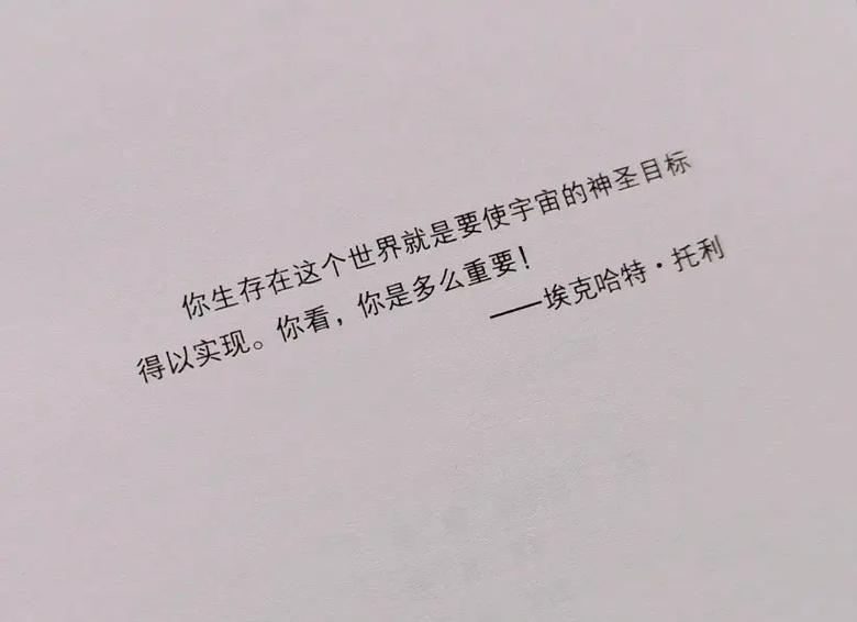 高黄多肉长篇连载小说全文在线阅读｜热门章节免费看