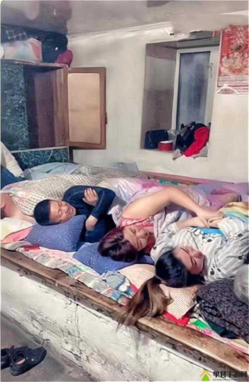 东北大炕在线阅读｜感受东北乡土风情与温暖生活