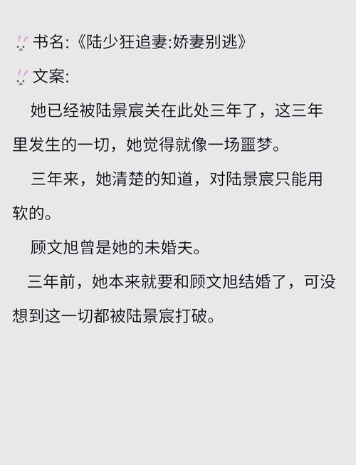 都市风流医圣王云杰全文在线阅读