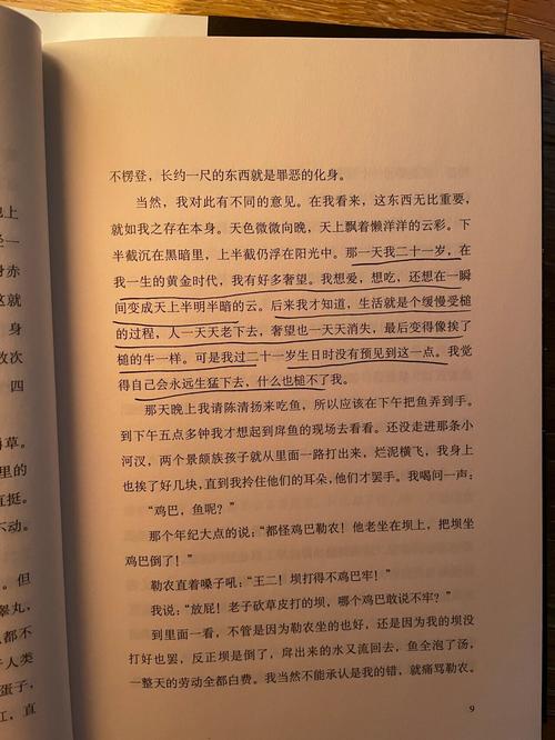 黄金时代在线阅读 | 王小波经典小说全文免费阅读