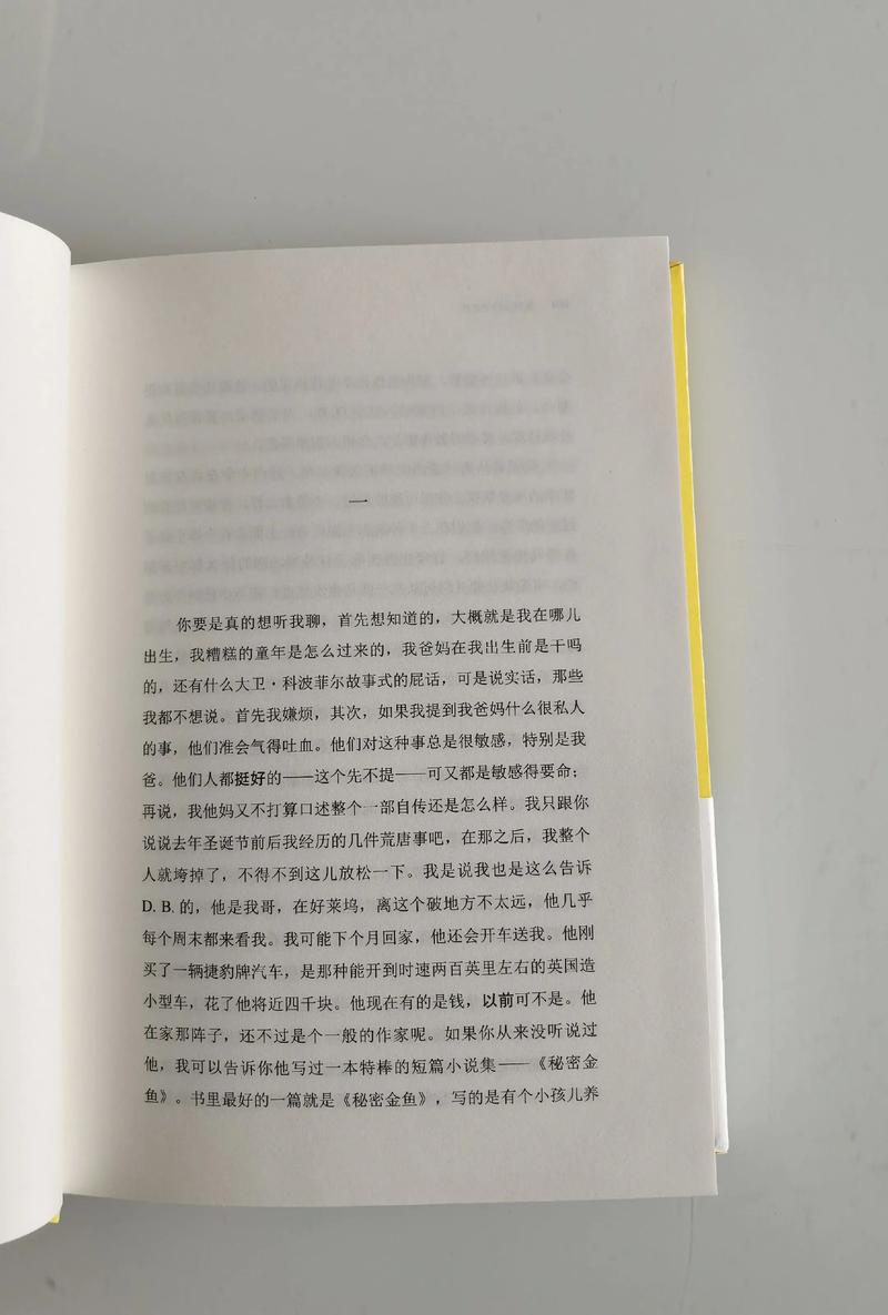 《麦田里的守望者》在线阅读 | 塞林格经典小说全文