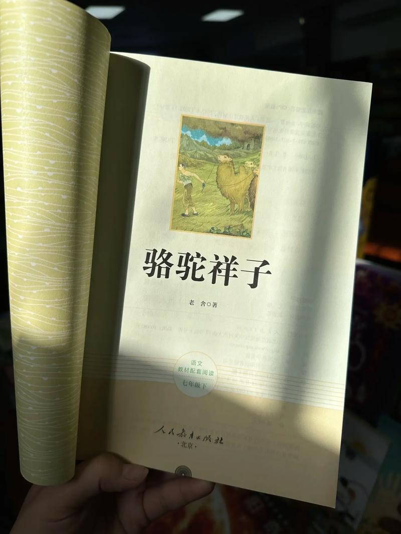 短篇辣合文在线看|高能反转合集免费读