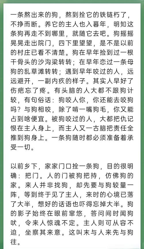人狗合集全文在线阅读|精选合集尽享人与狗的温情故事