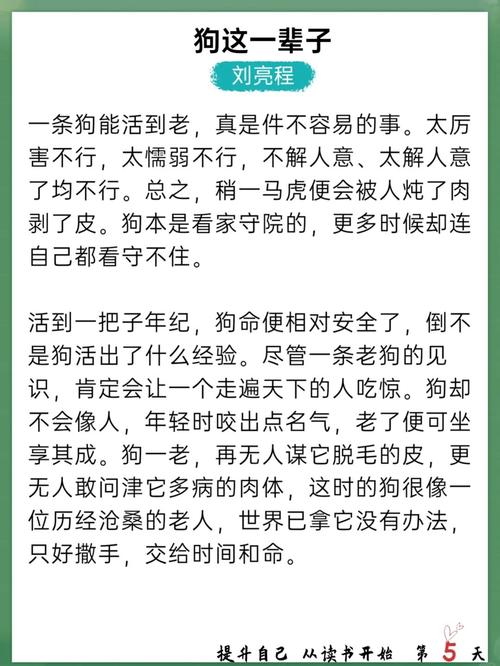 人狗合集全文在线阅读|精选合集尽享人与狗的温情故事
