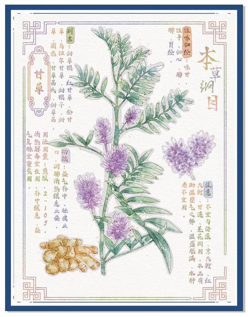 2819小说在线阅读的相关介绍