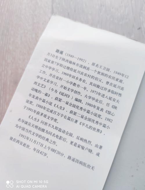 路遥《人生》全文在线阅读 | 经典小说免费阅读