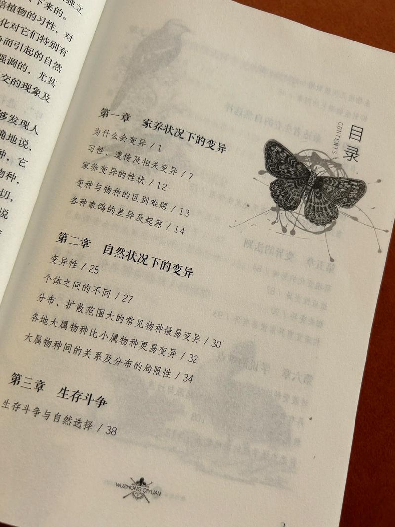 一问一世界在线阅读 | 杨澜对话录完整版